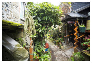 holiday cottages in mousehole abbey place